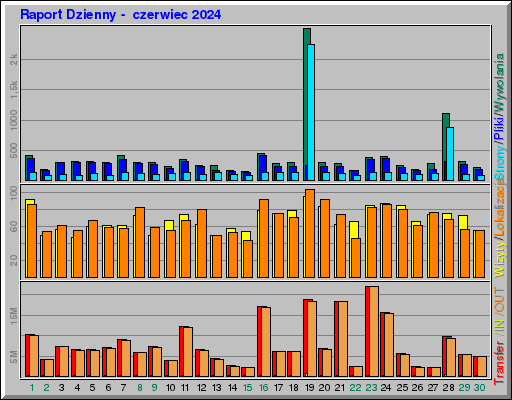 Raport Dzienny - czerwiec 2024 Raport Dzienny - czerwiec 2024
