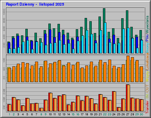 Raport Dzienny -  listopad 2025
