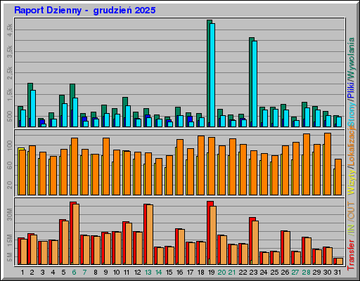Raport Dzienny -  grudzień 2025