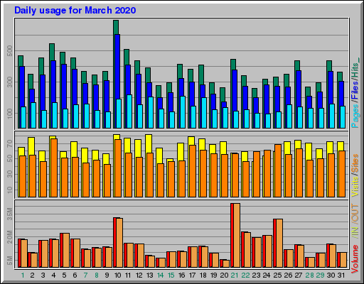 Raport Dzienny -  marzec 2020