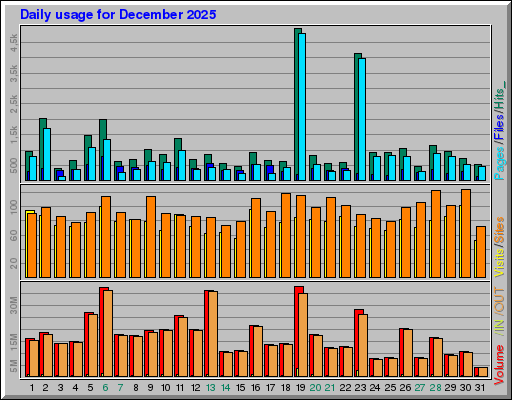 Raport Dzienny -  grudzień 2025