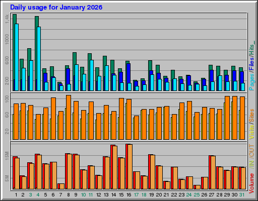 Raport Dzienny -  styczeń 2026
