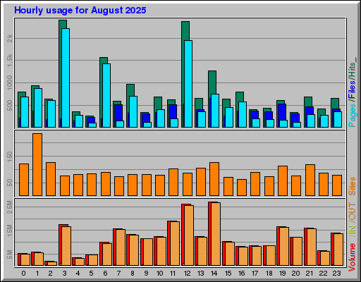 Raport Godzinowy -  sierpień 2025