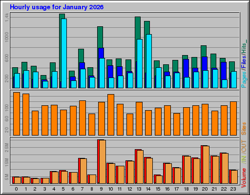 Raport Godzinowy -  styczeń 2026