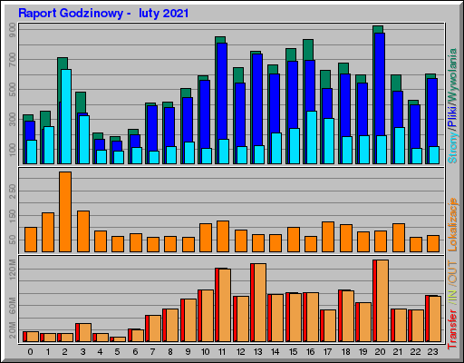 Raport Godzinowy - luty 2021 Raport Godzinowy - luty 2021