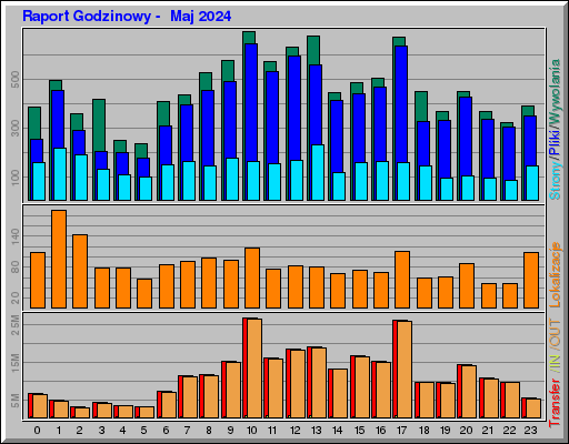 Raport Godzinowy -  Maj 2024