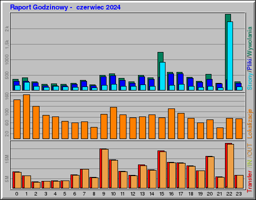 Raport Godzinowy - czerwiec 2024 Raport Godzinowy - czerwiec 2024
