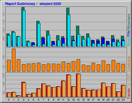 Raport Godzinowy -  sierpień 2025