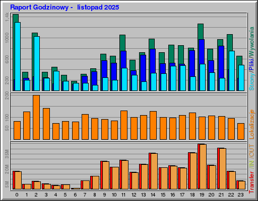 Raport Godzinowy -  listopad 2025