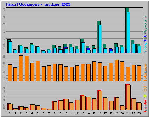 Raport Godzinowy -  grudzień 2025