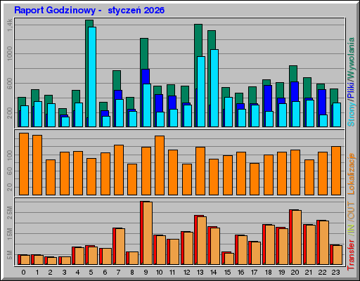 Raport Godzinowy -  styczeń 2026